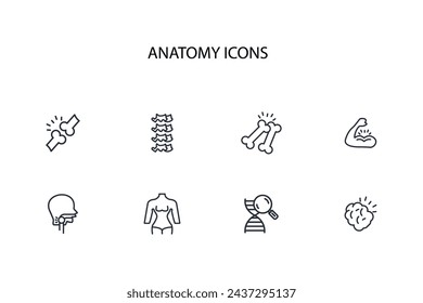 organs icon. anatomy human icon set.vector.Editable stroke.linear style sign for use web design,logo.Symbol illustration.