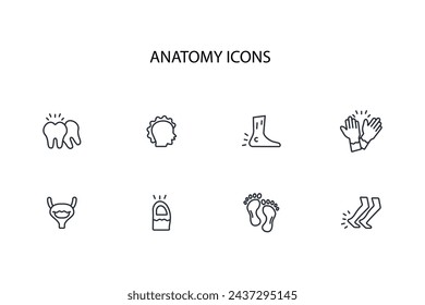 Organsymbol. anatomie Human Icon Set.Vector.Editable Stroke.Linear Style Zeichen für die Verwendung Web-Design, logo.Symbol Illustration.
