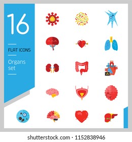 Organs Icon Set. Heart Brain Kidneys Liver Lungs Heart With Love Arrow Spleen Cerebrum Stomach Intestine Alzheimer Bladder Human Heart