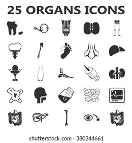 Organs Icons Set.