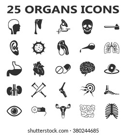 Organs Icons Set.