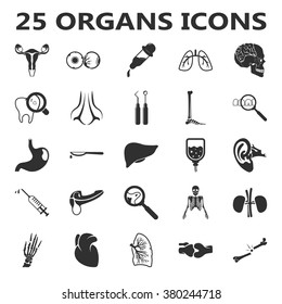 Organs Icons Set.