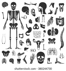 Organs Icons Set.