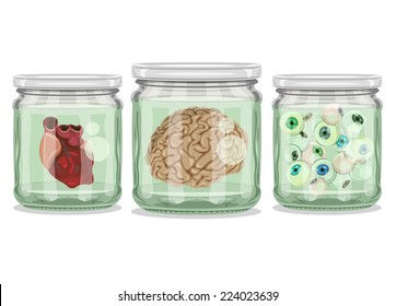 Organs in Jars - Brain, Heart and Eyeballs