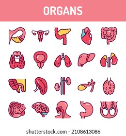 Organs line icons set. Isolated vector element. Outline pictograms for web page, mobile app, promo. Editable stroke.