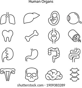 Organs line icons. Vector illustration include icon - muscle, liver, stomach, kidney, urinary, eyeball, bone, lung, neuron outline pictogram