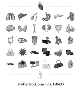 organs, medicine, health and other web icon in black style.technology, robbery, crimes icons in set collection.