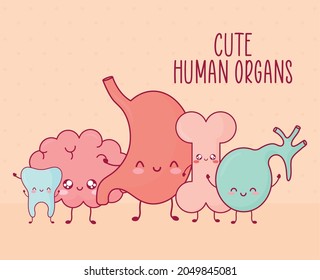 organs poster and organs icons