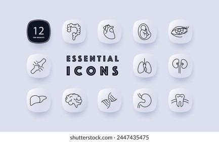Organs set icon. Intestinal tract, stomach, liver, brain, lungs, embryo, DNA, tooth, eye, heart, eyelids, eyelashes. mesh, gradient. Self care concept. Neomorphism style.