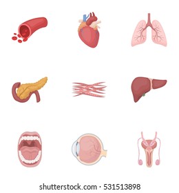 Organs set icons in cartoon style. Big collection of organs vector symbol stock illustration