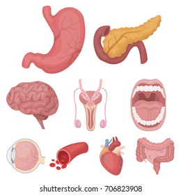 Organs set icons in cartoon style. Big collection of organs vector symbol stock illustration