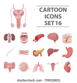 Organs set icons in cartoon style. Big collection of organs vector illustration symbol.