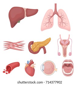 Organs set icons in cartoon style. Big collection of organs vector symbol stock illustration