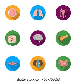 Organs set icons in flat style. Big collection of organs vector symbol stock illustration