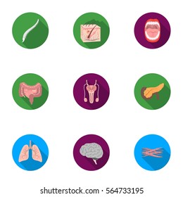 Organs set icons in flat style. Big collection of organs vector symbol stock illustration