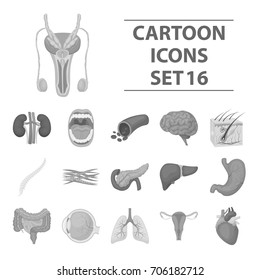 Organs set icons in monochrome style. Big collection of organs vector symbol stock illustration