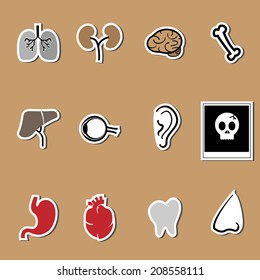 Organs vector design health care set