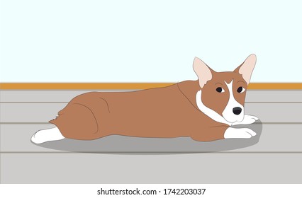 orgi dog sitting in a room, vector, color