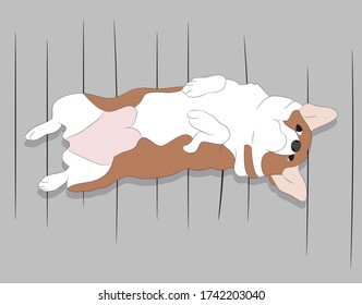 orgi dog sitting in a room, vector, color