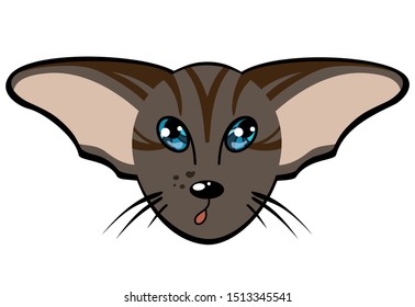 Orienal striped cat with large ears