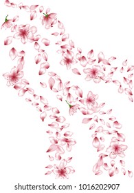 Oriental apricot or japanese cherry blossom petals isolated, flower elements falling vector illustration. Isolated petals and pink flower vector elements flying pattern on white.