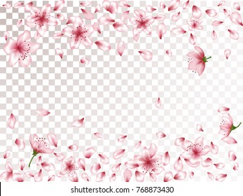Oriental apricot or japanese cherry blossom petals isolated, flower elements falling vector illustration. Windy petals and pink flower vector elements flying, bloom confetti border on transparent.