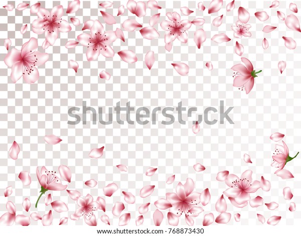 アンズまたは日本の桜の花びら 花の元素の落ちるベクターイラスト 風の強い花びらとピンクの花のベクター画像が飛び 透明な背景に紙吹雪 のベクター画像素材 ロイヤリティフリー