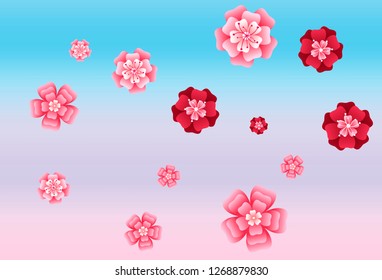 Oriental apricot or japanese cherry. Pink and red flowers falling on colored background.