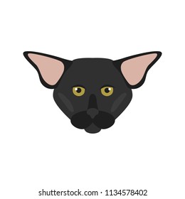 Oriental breed cat muzzle color vector icon