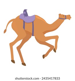 Oriental camel run icon cartoon vector. United riding chase. Sport festival jockey