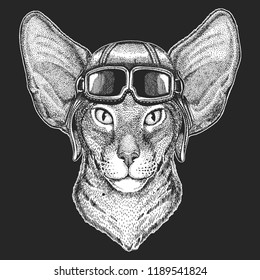 Oriental cat with big ears wearing aviator hat. Print for children clothes, tee, t-shirt. Pilot wild animal