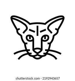 oriental cat cute pet line icon vector. oriental cat cute pet sign. isolated contour symbol black illustration