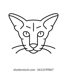 oriental cat cute pet line icon vector. oriental cat cute pet sign. isolated contour symbol black illustration