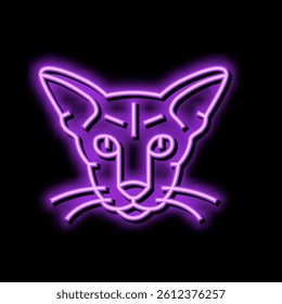 oriental cat cute pet neon light sign vector. oriental cat cute pet illustration