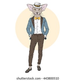 oriental cat dressed up in trendy suit, furry art illustration, fashion animal