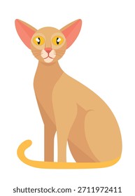 Gato oriental. Ilustração de clipart de vetor plano com plano de fundo isolado.