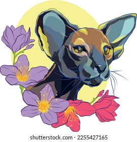 Oriental cat. The muzzle of a cat. Oriental breed. Muzzle of a cat and magnolia flowers.

