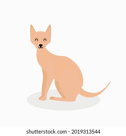 Concepto de diseño aislado de gatos orientales, vectores planos de animales de compañía