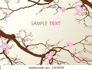 The Oriental cherry blossoms