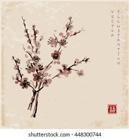 Oriental cherry branch in blossom. Sakura hand drawn in Traditional Japanese ink painting sumi-e.