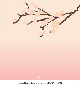 Oriental cherry on a pink background