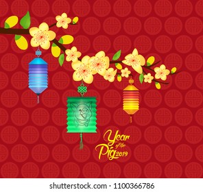 Oriental Chinese New Year background with lantern. Year of the pig