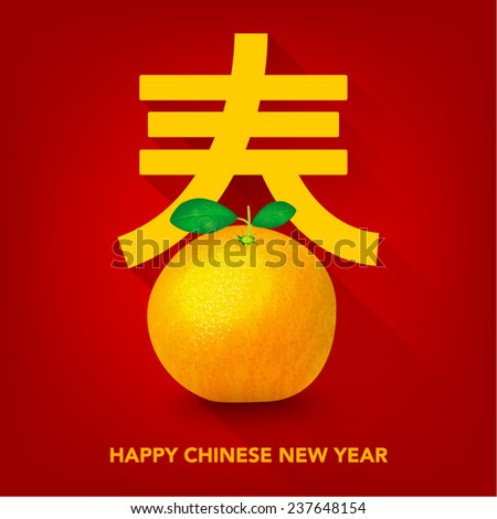 Oriental Chinese New Year Mandarin Orange Stock Vector (Royalty Free