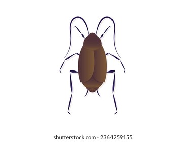 Oriental Cockroach Vector Art isolated on White Background