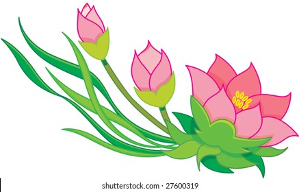 Oriental flowers