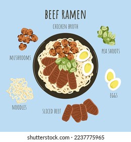Oriental food. Asian beef ramen soup ingredients. Chicken broth with noodles, beef, mushrooms, eggs, pea shoots. Chinese japanese korean cuisine popular dish. Vector illustration.