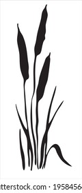 Oriental ink painting. Reeds. River plants. Image in one color. Vector. 