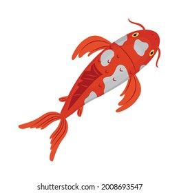 oriental koi carp on white background