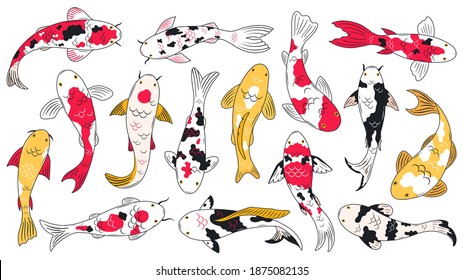 Oriental koi fish. Koi carps, asian ornamental fish, traditional oriental fishery. Chinese floating koi fish vector illustration. Koi chinese, japanese carp oriental wildlife