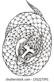 Oriental legless dragon. Black and white vector illustration.